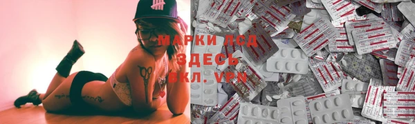 хмурый Осинники
