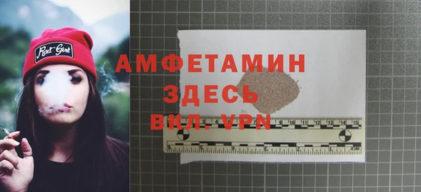 хмурый Осинники