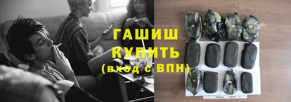 хмурый Осинники