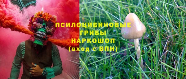 хмурый Осинники