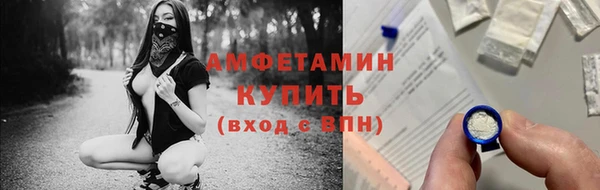 амф Сосновый Бор