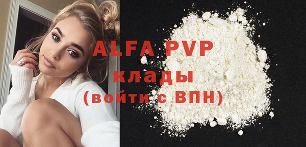 хмурый Осинники