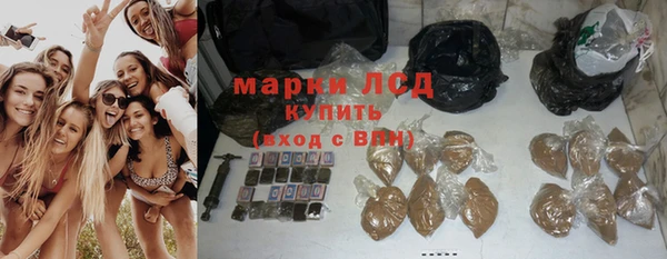 хмурый Осинники