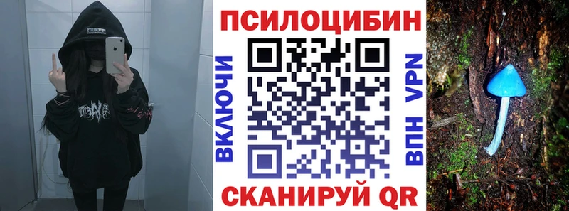 Псилоцибиновые грибы MAGIC MUSHROOMS  Пошехонье 