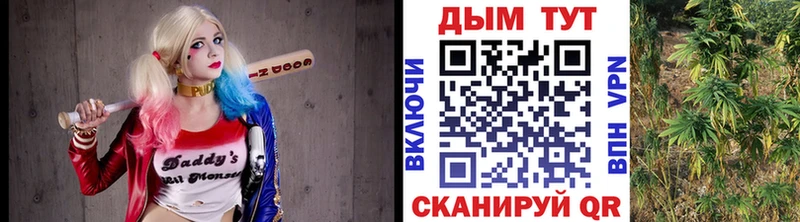 Марихуана Bruce Banner  сайты даркнета какой сайт  Пошехонье 